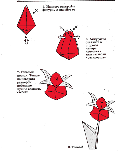 http://klio-elena.narod.ru/origami/tsveochki/tjulpan_2.gif
